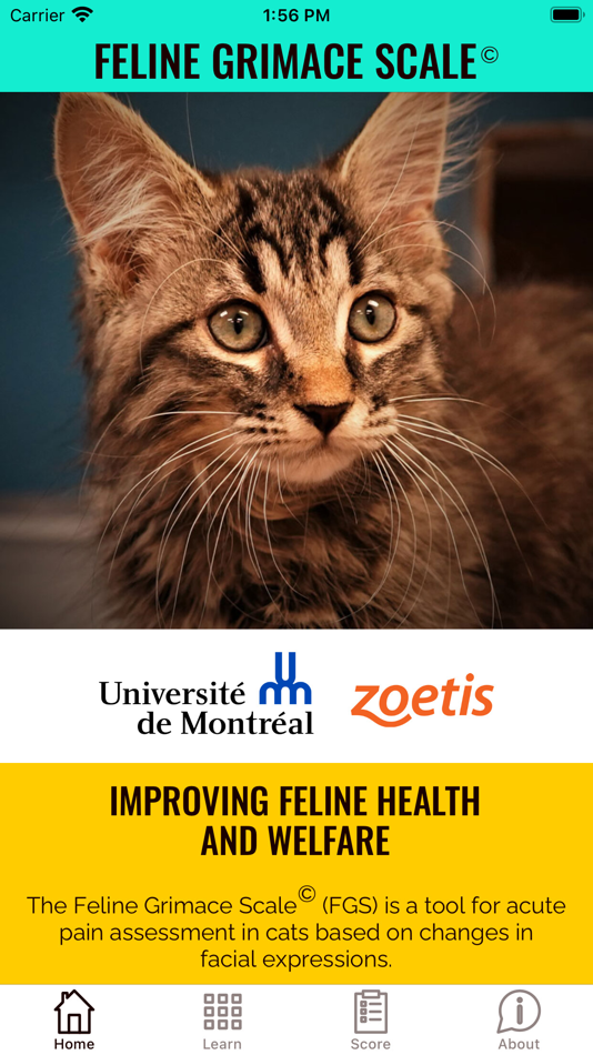 #1. Feline Grimace Scale (iOS) By: Steagall Laboratory