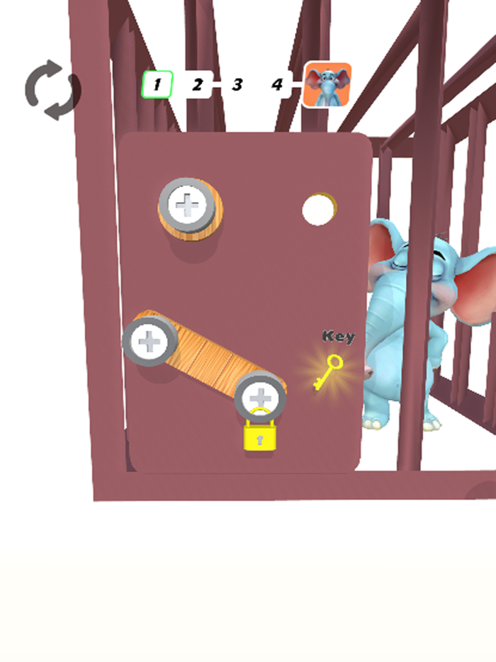 Screw Puzzle Pin Nuts Bolts