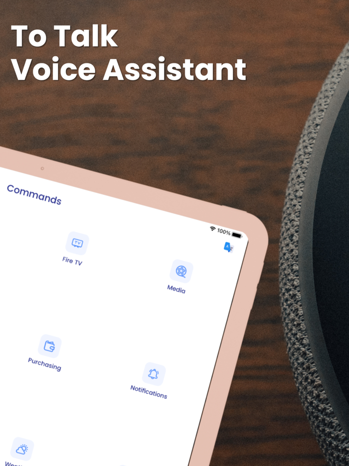 Setup and voice for Alexa app