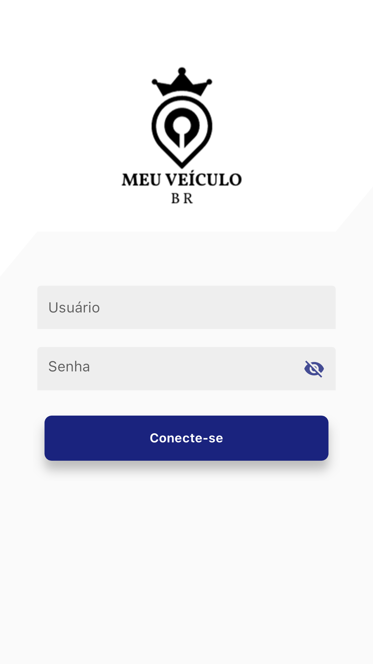 Meu Veículo BR