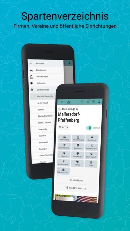 Mallersdorf-Pfaffenberg screenshot-3