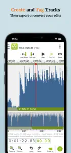 mp3TrueEdit touch screenshot #6 for iPhone