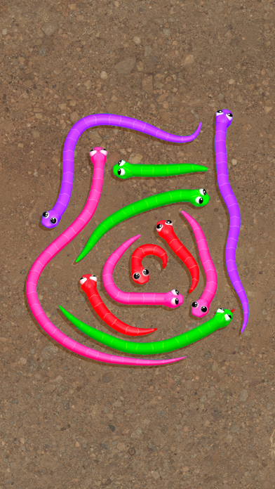 Snake Knot: Sort Puzzle Game screenshot 2