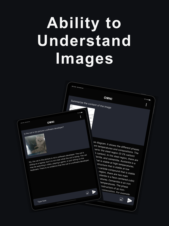 Omni: Chat with Gemini AI iPad screenshot 3 - Productivity app