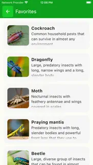 bug identifier - insect finder problems & solutions and troubleshooting guide - 2