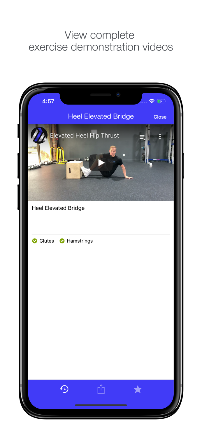 Next Level Athletics