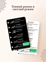 99 имен Аллаха и Аудио айпад изображения 4