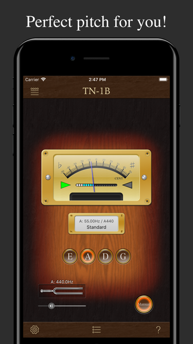 Bass Tuner TN-1B