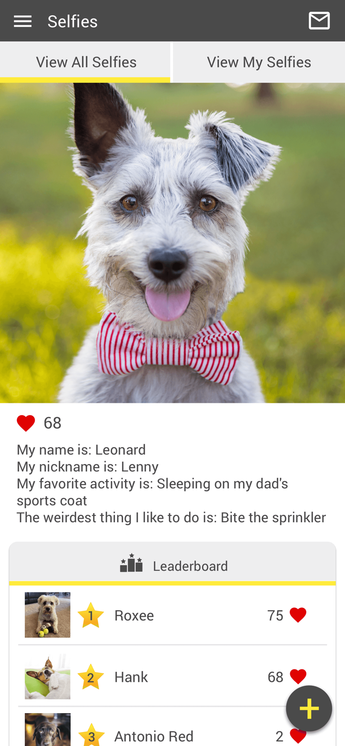 Sunset Animal Hospital