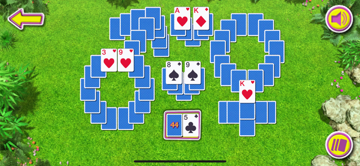 Summer Solitaire The Card Game