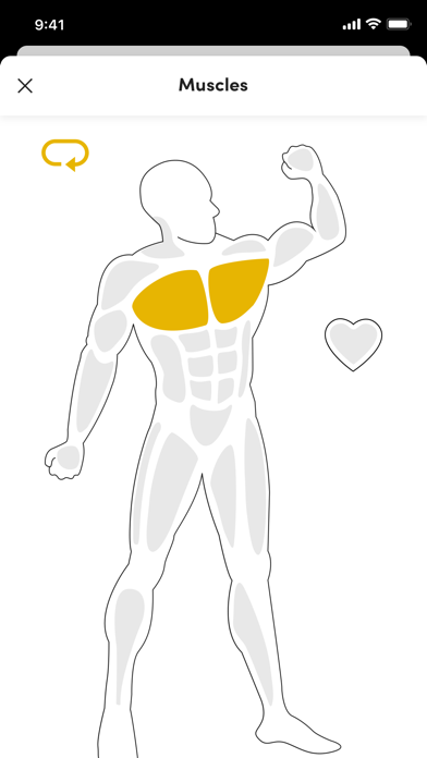 FIT Progression Screenshot