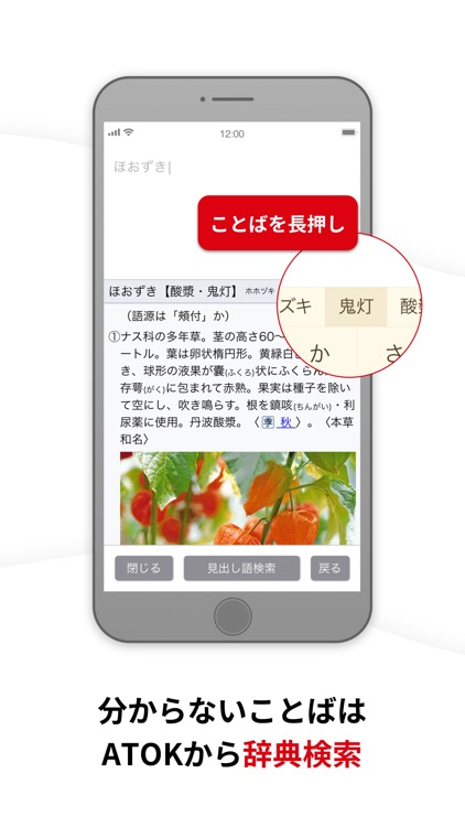 ATOK [Professional] 日本語入力キーボード screenshot-3