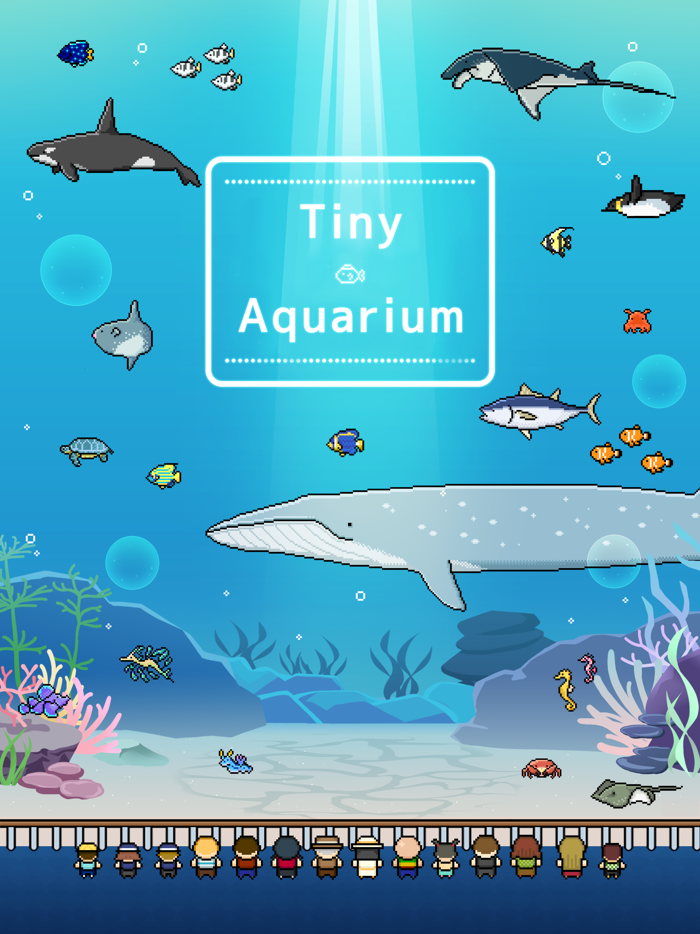 Tiny Aquarium Fish and Show
