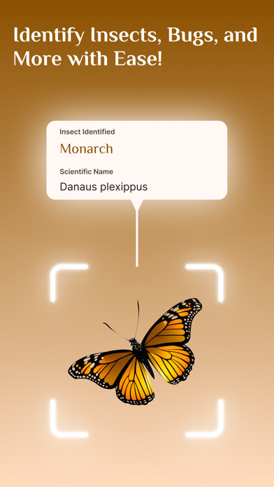 Screenshot #1 pour Bug Identifier, Insect Id