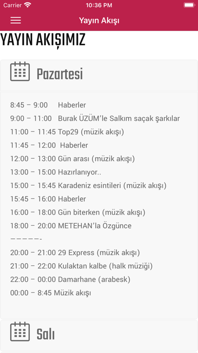 Radyo29 - Gümüşhane'mizin Sesi Screenshot