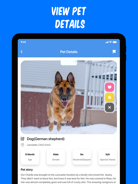 Screenshot #5 pour Pet Adopter: adopt pets