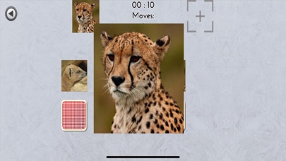 Geminus Screenshot