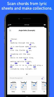 gtrlib chords iphone screenshot 4