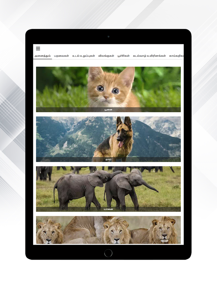 Theriyuma learn GK in Tamil