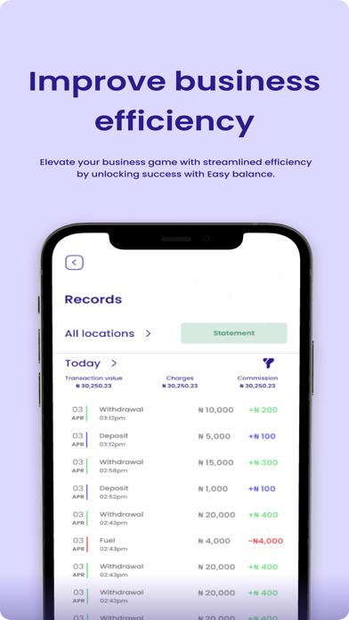 EasyBalance Screenshot