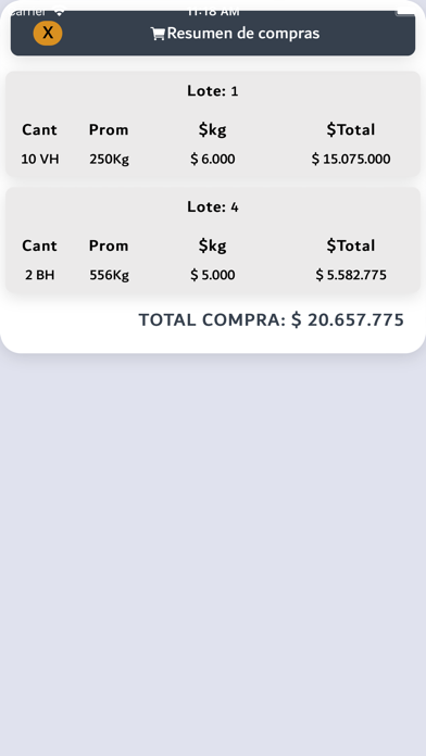 El Martillazo Screenshot
