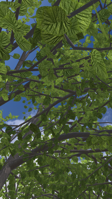 paper trees Screenshot