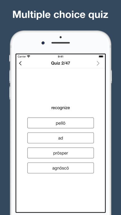 Advanced Latin Grammar Screenshot