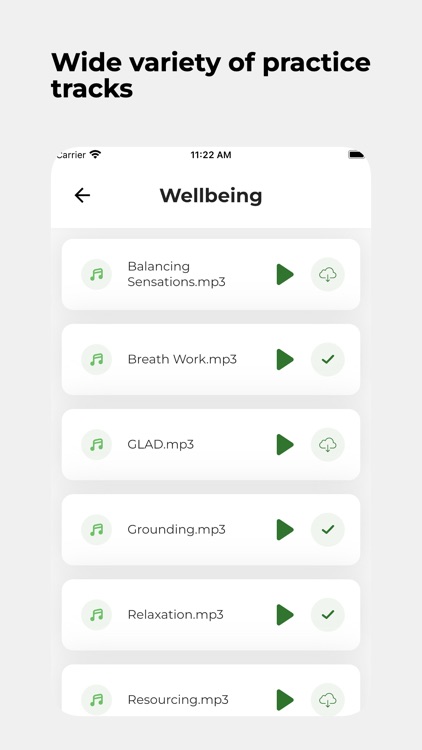 Mindful Wellbeing screenshot-3