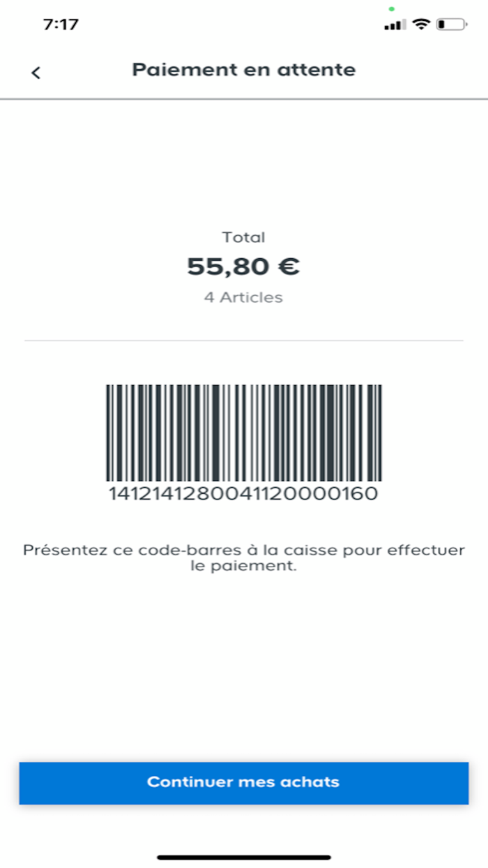 Castorama Scan and Go