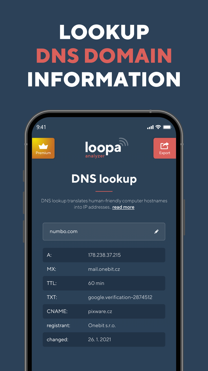 Network Analyzer Master Loopa