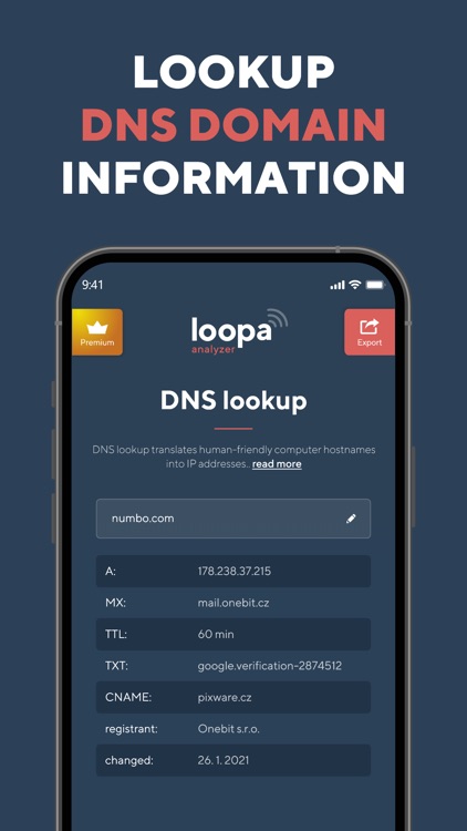 Network Analyzer Master: Loopa screenshot-7
