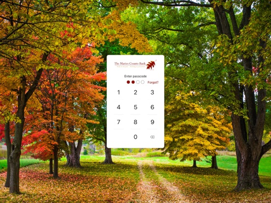 Maries County Bank iPad screenshot 2 - Finance app