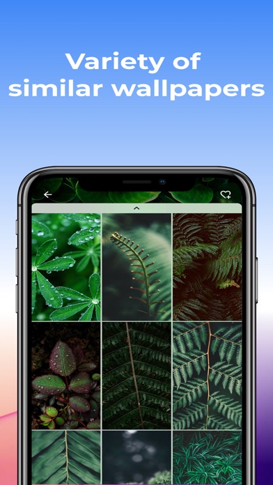 4k Wallpapers, HD Backgrounds Screenshot