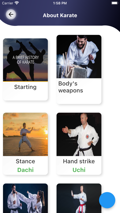 MARTIAL ARTS (TEAM) Screenshot