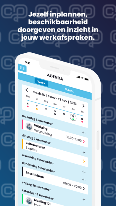 Centrale Planning Screenshot