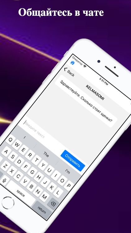 TicDog. Нужна собака