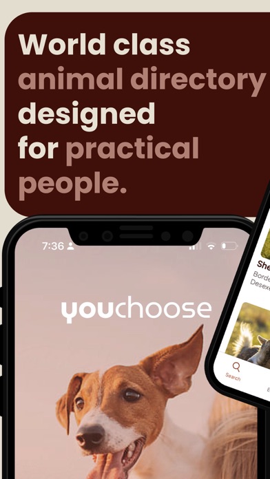 YouChoose Screenshot