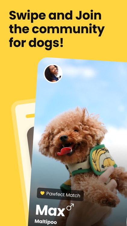 MMDC - PawPal Finder