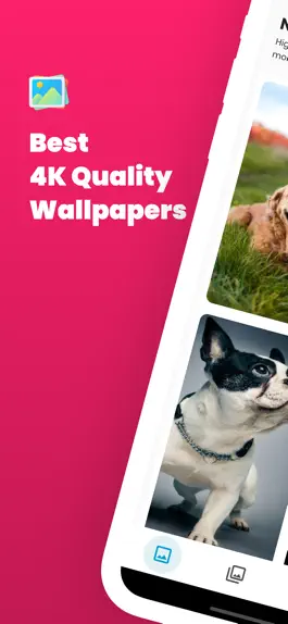 Game screenshot Dog Wallpaper and Backgrounds mod apk
