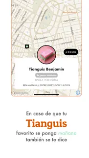 el tianguis iphone screenshot 3