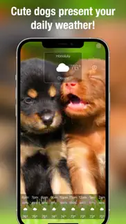 dog weather live iphone screenshot 2