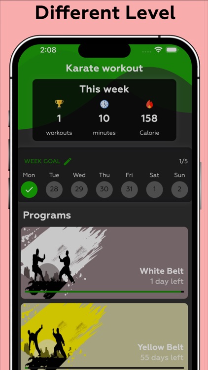 Karate Workout - Master Karate