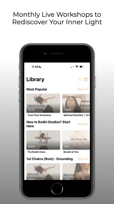 Bodhi Effect Screenshot