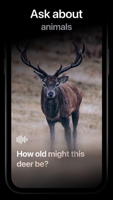 PowerApp: Radio, Podcast, DJ