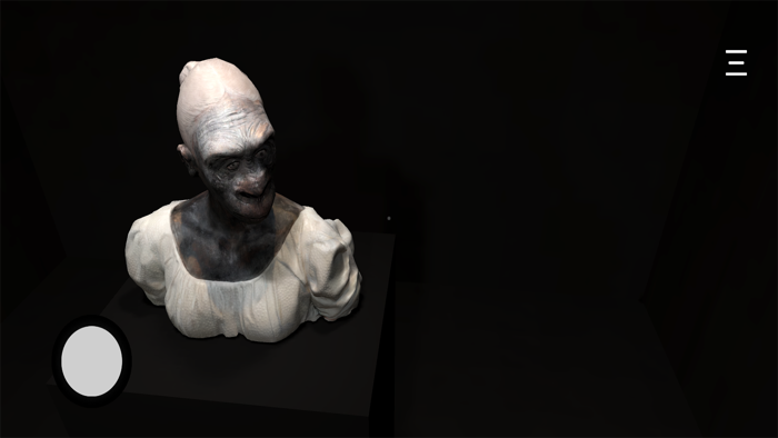 Carlo Cinque Virtual Gallery