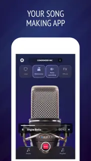 pro microphone: voice record iphone screenshot 2