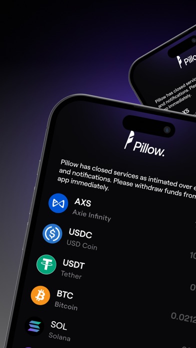 Pillow Fund: Invest in Dollars Screenshot