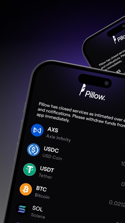 Pillow Fund: Invest in Dollars