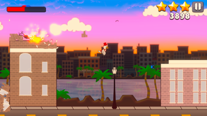 Seagull Smash Screenshot