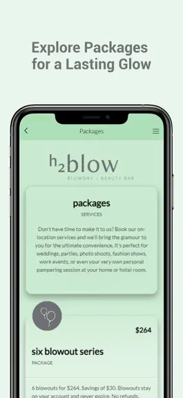 Game screenshot h2blow blowdry + beauty bar hack
